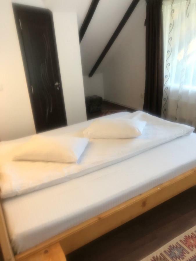 Rîşnov Casa Csikiヴィラ エクステリア 写真